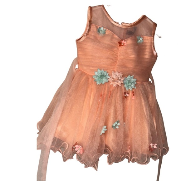Peach Tulle Flower Girl Dress (Enfance, Size 16) - Picture 2 of 6